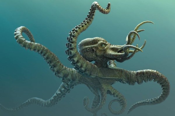 Kraken 18at