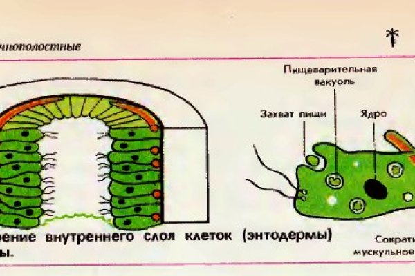 Кракен сайт продаж